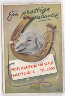 Valkenburg - Hotel Schaepkens Van St Fijt - Carte à Système - 11 Zichtjes - Valkenburg