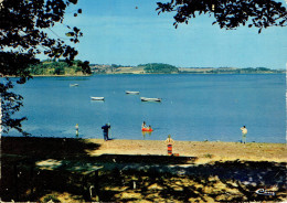 LA VILLE-ès-NONAIS :  La Plage De Vigneux - Andere & Zonder Classificatie