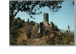 Haute Vallée De L'Ardèche Ruines Du Château Féodal De CHADENAC Aux Environs De THUEYTS 1971 - Andere & Zonder Classificatie