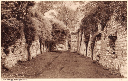 R333841 Lewes. The Priory Ruins. Postcard. 1936 - Monde