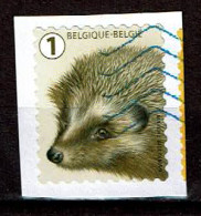 Egel Uit 2020 (OBP 4951 ) - Used Stamps