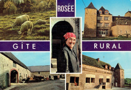 ROSÉE : Ferme De La Laiterie - Gîte Rural - Multivues - Florennes