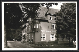 AK Zwieselberg / Württ., Hotel-Pension Hirsch K. Braun Mit Strasse  - Altri & Non Classificati