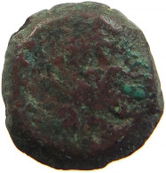 JUDEA PRUTAH PALM TWO FIGURES #t033 0513 - Griechische Münzen