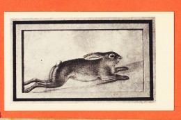 01691 / ⭐ Rare BOSTON Massachusetts Museum Fine Arts Head BELLINI Hare Lièvre  - Boston