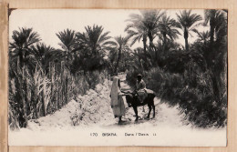 01548 / BISKRA Algérie Dans OASIS Femme Enfant âne Postée Le 28.04.1927 LEVY NEURDEIN 170 ALGERIA ALGERIEN ARGELIA - Biskra