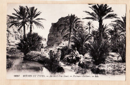 01552 / Scènes Et Types Algérie Au Bord D'un Oued Palmiers-Dattiers Ane 1920s - LEVY 6052 ALGERIA ALGERIEN ARGELIA - Scènes & Types