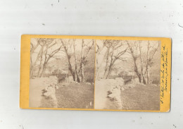 CORSAVY (66) PHOTO STEREOSCOPIQUE 31 L'ENTREE D'ARLES DU COTE DE CORSAVY PRES AMELIE - Stereoscopic