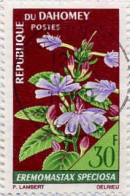 Bénin Dahomey Poste Obl Yv: 251 Mi:303 Eremomastax Speciosa (TB Cachet Rond) - Bénin – Dahomey (1960-...)