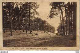 33 ARCACHON N°72 Côte D'Argent Route En Forêt Enfants VOIR ZOOM Landau Ancien - Arcachon