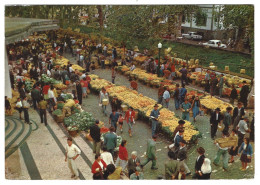 Portugal - Funchal  - Marche De Fruits - Autres & Non Classés