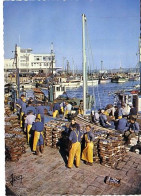 Douarnenez Débarquement De La Sardine Au Fond La Criée ( Pêcheurs - Douarnenez