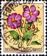 Congo Belge Poste Obl Yv:302 Mi:295 Dissoti (TB Cachet à Date) 1-2-51 - Oblitérés