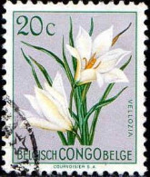 Congo Belge Poste Obl Yv:304 Mi:297 Veliozia (Beau Cachet Rond) - Gebraucht