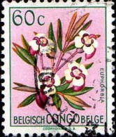 Congo Belge Poste Obl Yv:308 Mi:301 Euphorbia (TB Cachet Rond) - Usados