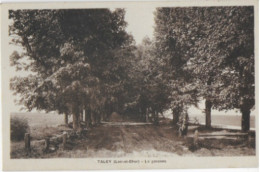 41 TALCY (Loire Et Cher) La Garenne Edit Lenormand (animée-vélo) - Autres & Non Classés