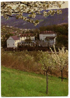 Printemps En Fleur à La Roche D'Or. - Sonstige & Ohne Zuordnung