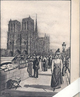 75 Paris, Les Petits Métiers,  Illustrateur Frédillo, Les Bouquinistes Et L'Eglise Notre Dame, D5111 - Artigianato Di Parigi