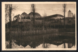 AK Laupheim, Blick Vom Weiher Zum Schloss  - Altri & Non Classificati