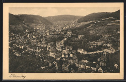 AK Schramberg, Ortsansicht Aus Der Vogelperspektive  - Schramberg