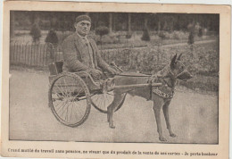 Attelage De Chien - (G.2712) - Hunde