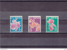 ALBANIE 1961 FLEURS Yvert  555-557, Michel 633-635 NEUF** MNH Cote Yv: 22 Euros - Albania