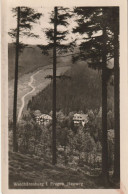 Waldbärenburg  1955   Heuweg - Sonstige & Ohne Zuordnung