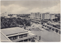 Lignato Pineta: RENAULT DAUPHINE, FIAT 1100, 600 MULTIPLA, MERCEDES W110, CITROËN 2CV, 'ESSO' SERVICE-STATION - (Italia) - Turismo