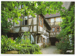 Wissembourg - Maison Schaaf - Wissembourg