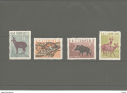 ALBANIE 1962 Animaux, Chamois, Lynx, Sanglier, Chevreuil Yvert 597-600, Michel 699-702 NEUF** MNH Cote Yv 35 Euros - Albanien