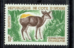 Chasse Et Tourisme : Céphalophe - Ivoorkust (1960-...)