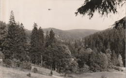 Bärenfels   1962  Fernblick - Andere & Zonder Classificatie