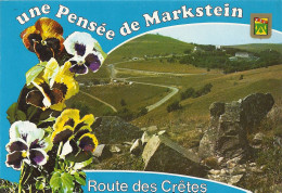 *CPM - 68 - MARKSTEIN - Une Pensée - Blason - Sur La Route Des Crêtes - Autres & Non Classés