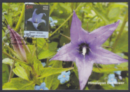 Inde India 2013 Maximum Max Card Himalayan Bellflower, Flower, Flowers, Flora - Storia Postale