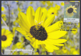 Inde India 2013 Maximum Max Card Himalayan Mini Sunflower, Flower, Flowers, Flora - Covers & Documents