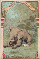 Chromo Pernot L éléphant Bonne D Enfant - Pernot