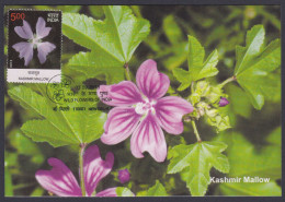 Inde India 2013 Maximum Max Card Kashmir Mallow, Flower, Flowers, Flora - Covers & Documents