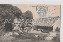 Carte Postale CPA Ollainville (91) Ruines Du Château Le Lavoir   Lavandières 1906 - Andere & Zonder Classificatie