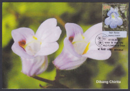 Inde India 2013 Maximum Max Card Dibang Chirita, Flower, Flowers, Flora - Briefe U. Dokumente