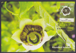 Inde India 2013 Maximum Max Card Roundleaf Asiabell, Flower, Flowers, Flora - Lettres & Documents