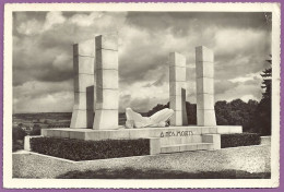 *CPSM - 68 - ALTKIRCH - Monument Aux Morts - Altkirch