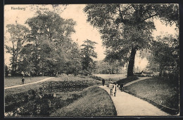 AK Hamburg-Eilbek, Eilbecktal, Partie Im Park  - Wandsbek