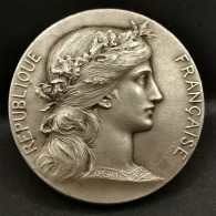 MEDAILLE BRONZE 37mm 26.8g REPUBLIQUE FRANCAISE PAR H. DUBOIS - Sonstige & Ohne Zuordnung