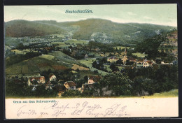 AK Sasbachwalden /Schwarzwald, Blick über Ort Und Felder  - Sasbach