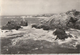 56 - Presqu'île De Quiberon  -  Côte Sauvage Prés De L'Observatoire - Quiberon