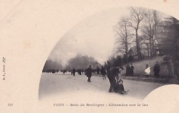 PARIS       BOIS DE BOULOGNE. GLISSADES SUR LE LAC         PRECURSEUR - Parcs, Jardins