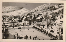 Geising   1954  Eisstadion - Geising