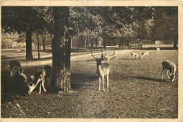 69 - LYON - PARC DE LA TETE D'OR - Autres & Non Classés