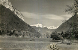 74 - FAVERGES - MONT BLANC - Faverges