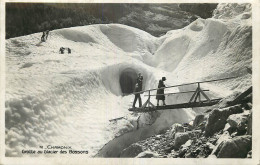 74 - CHAMONIX - GLACIER DES BOSSONS - Chamonix-Mont-Blanc